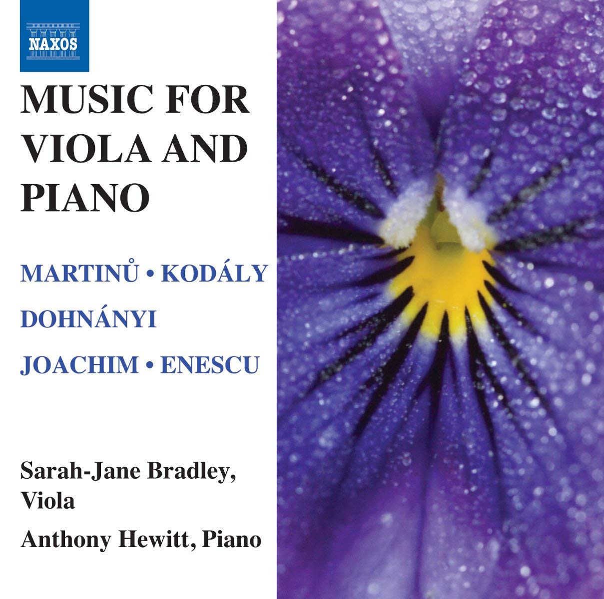 Music For Viola Piano