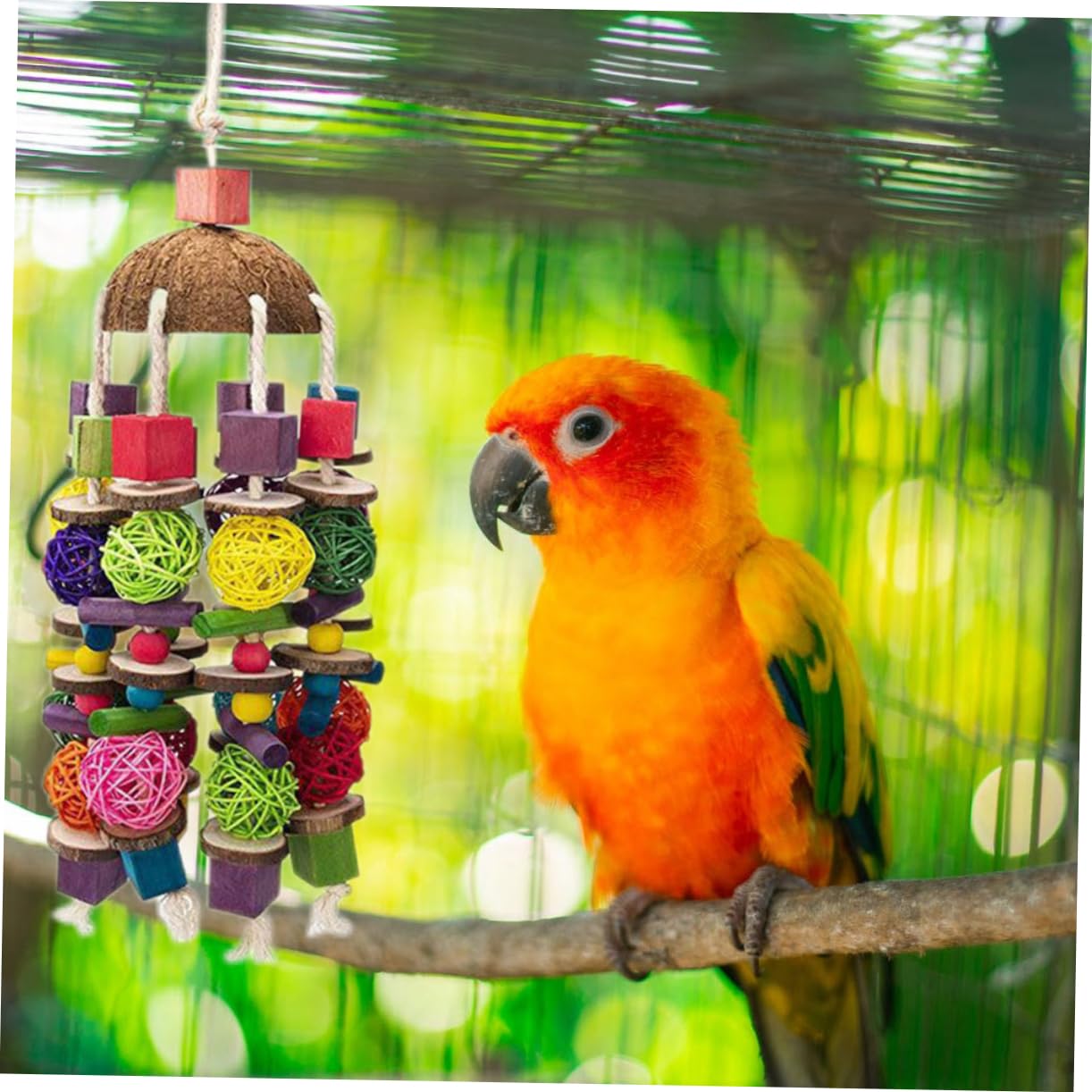 Jouet pour Perroquet Bois Suspendu Accessoire Noix De pour Oiseaux Jouet Jeu pour Cages De Oiseaux