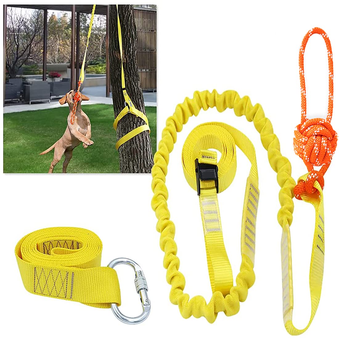 XiaZ Retractable Interactive Dog Toy, Rope Tug of War Toys for Small or