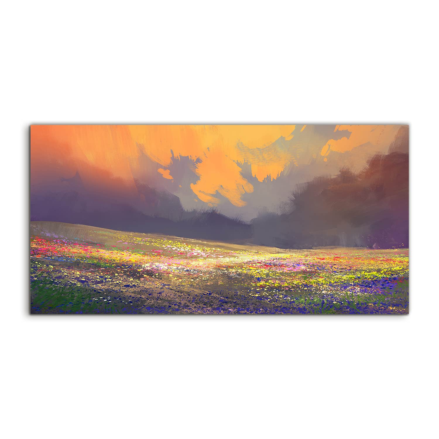 Coloray Pintura acrílica Cuadro De Pared 100x50cm Vidrio Acrílico Sala De Estar Arte Mural - Flores pradera cielo