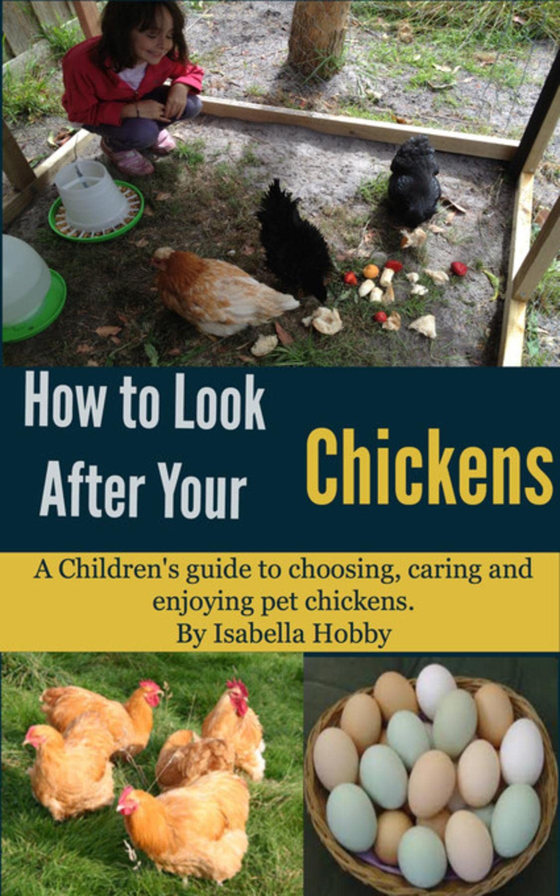 How to look after your Chickens: Pet Care for Children