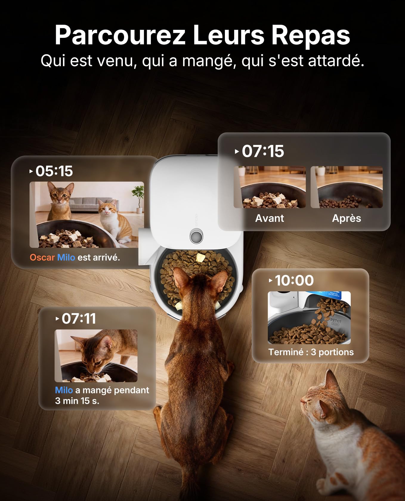 PETKIT YumShare Solo 2 Distributeur Croquettes Chat Automatique avec Caméra, Reconnaissance faciale Multi-Chats, WiFi 2.4 GHz & 5GHz, Vision Nocturne, Contrôle Via App, Jusqu'à 5 Repas par Jour