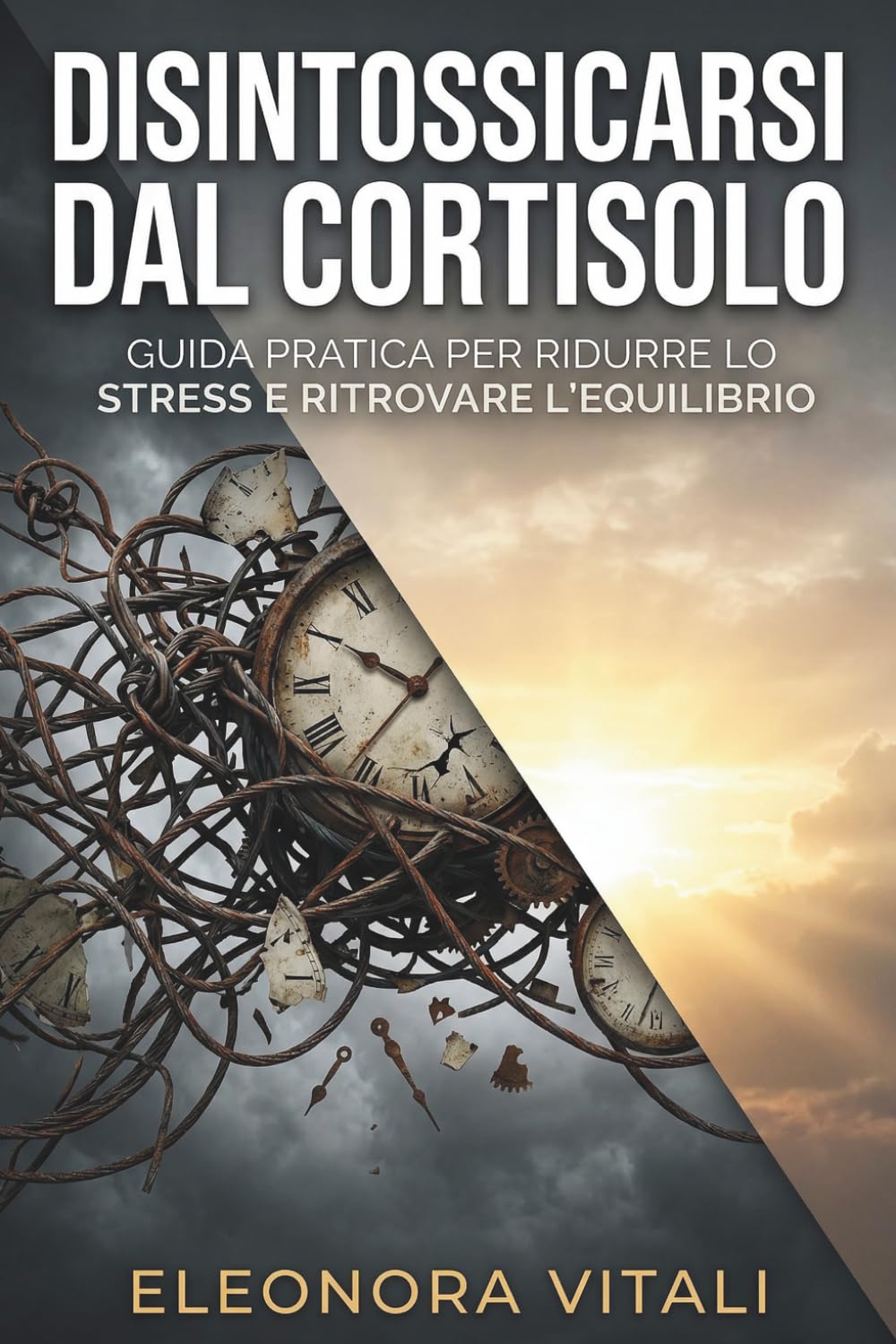 Disintossicarsi Dal Cortisolo: Comprendere e gestire lo stress per una vita più sana e serena