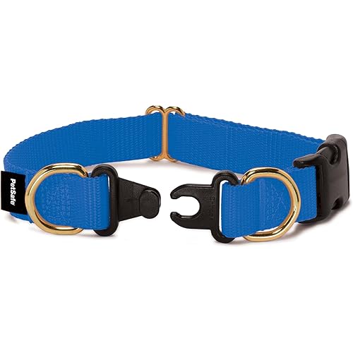 PetSafe KeepSafe Break-Away Collar 1 in Wide, Large, Royal Blue Prevent Collar Accidents for Your Dog or Puppy Improve Safety, Compatible with Leash Use, Adjustable Sizes