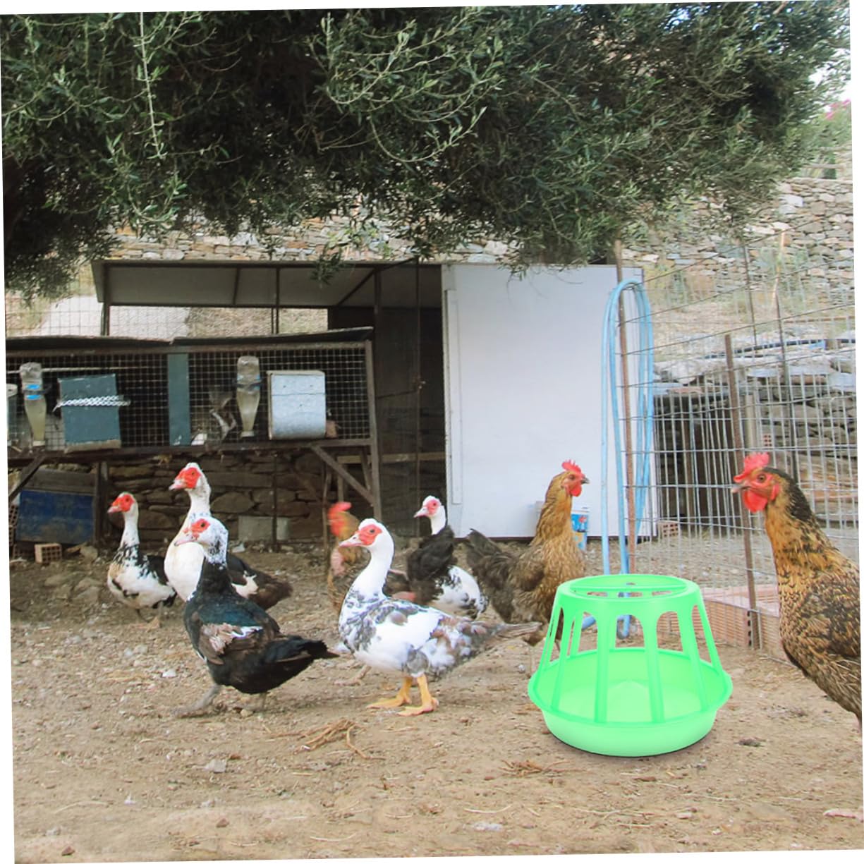 2pezzi Mangiatoia Per Pollame Per Alimenti Design Per e Galline Facile Installare e Stabile Allevamenti Domestici
