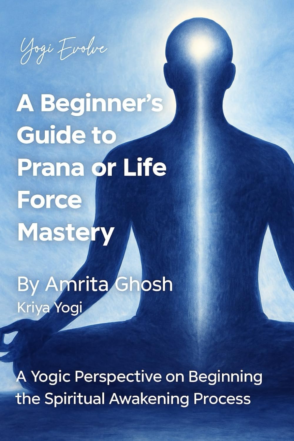 A Beginner’s Guide to Prana or Life Force Mastery: A Yogic Perspective On Beginning The Spiritual Awakening Process