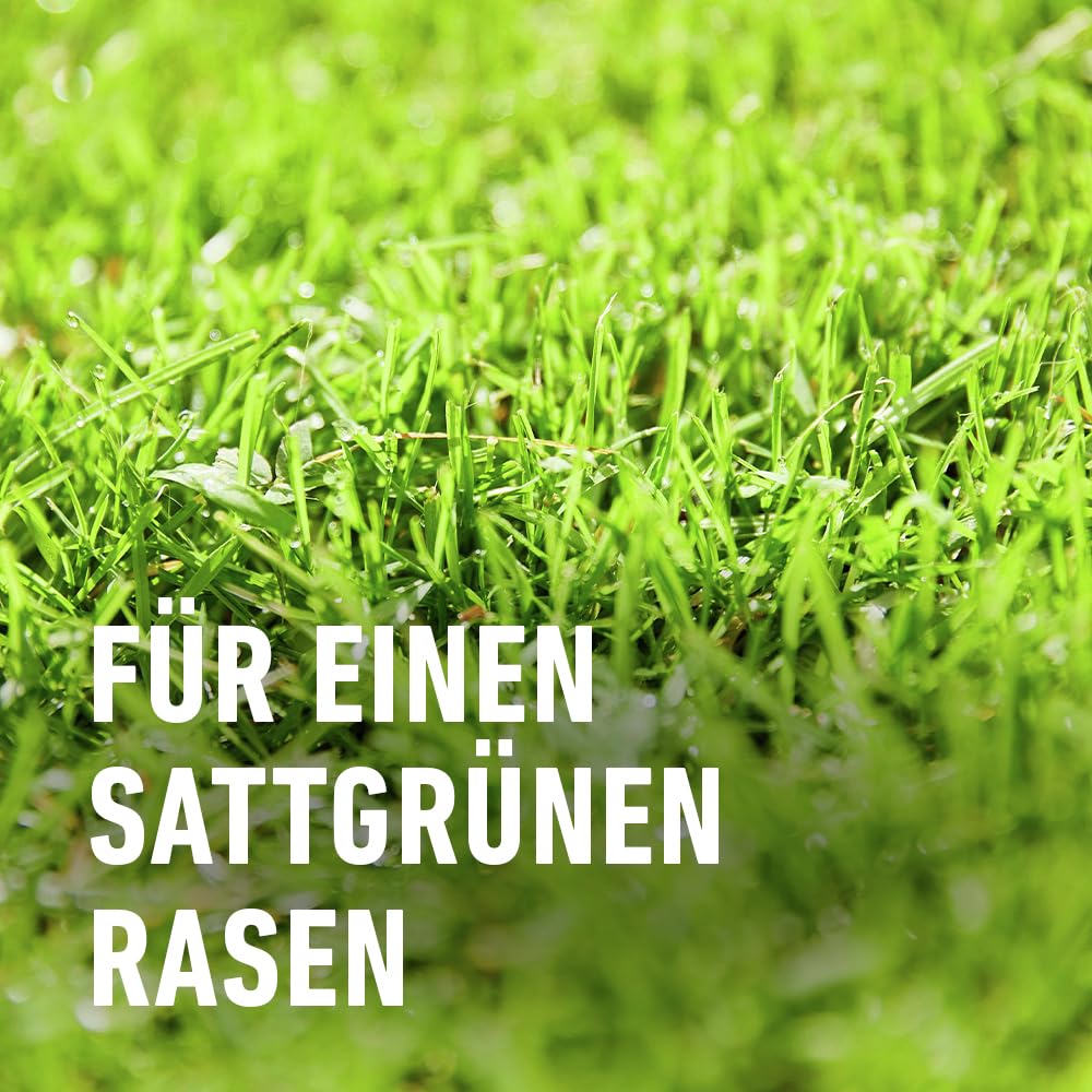 Compo SAAT® Vertikutier-Mix 4 kg für bis zu 133m²