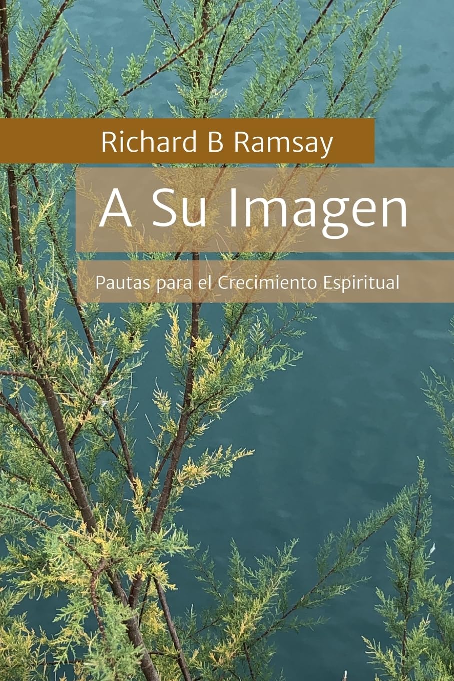 A Su Imagen: Pautas para el crecimiento espiritual