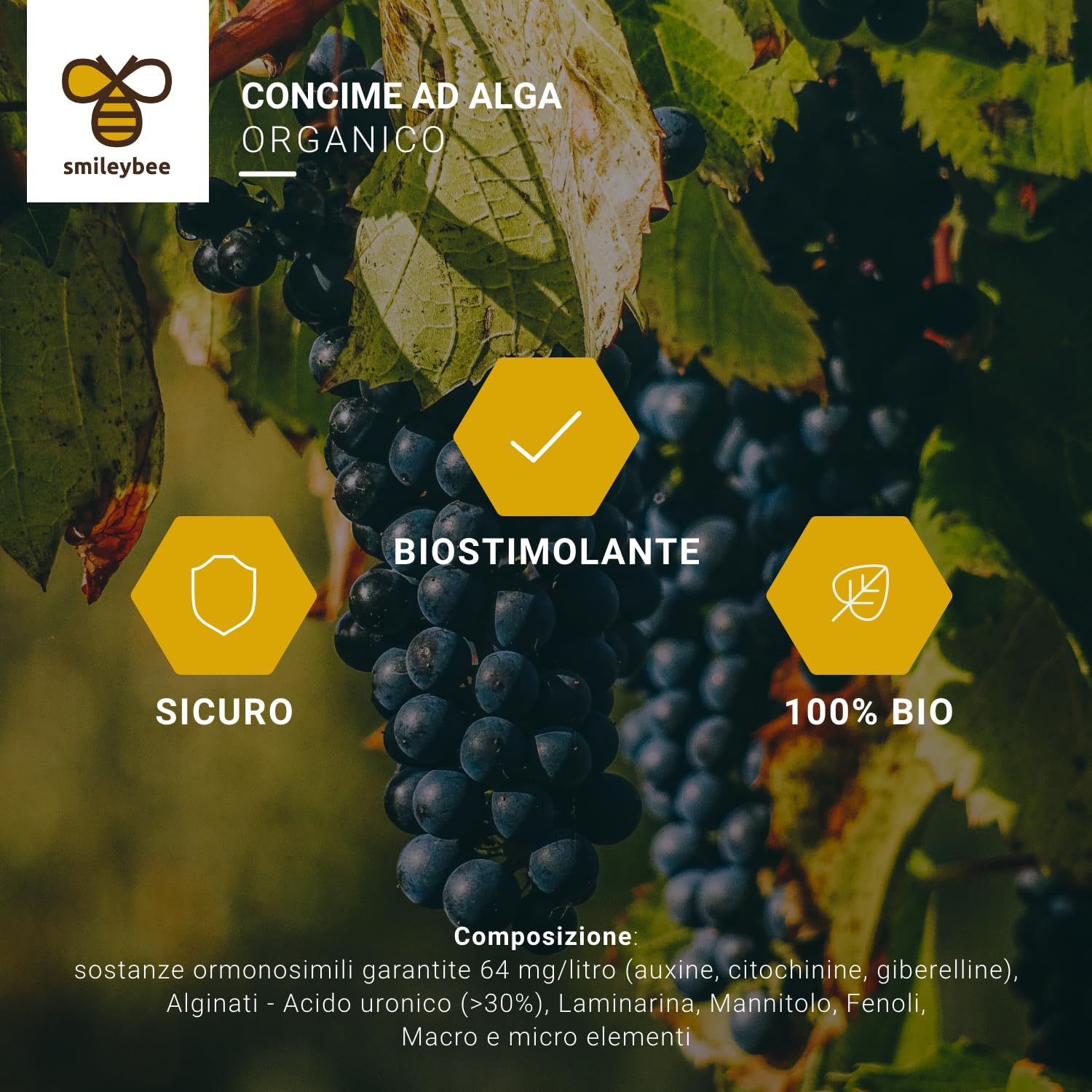 Algirosso Biostimolante 100% Biologico per Piante - Concime Alga Fertilizzante, Aumenta l'Energia Germinativa e Incrementa l'Attività delle Radici - 5 Litri