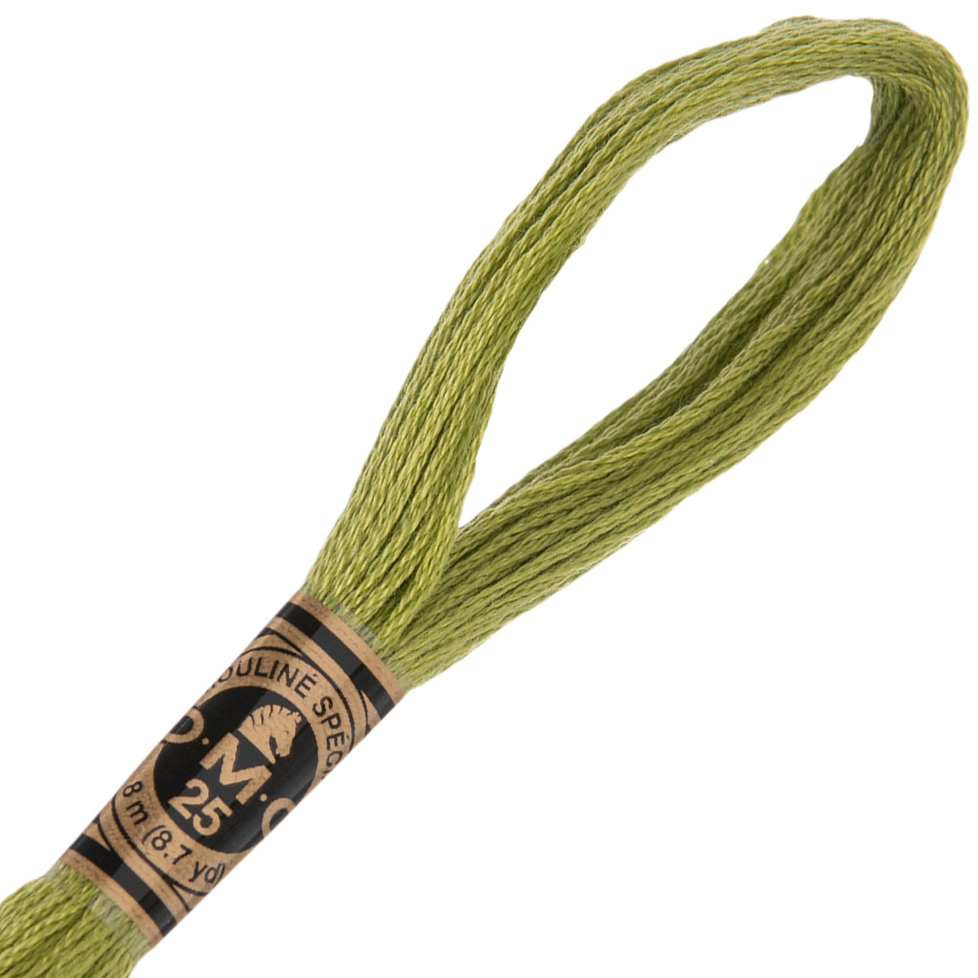 Hobby Lobby DMC Cotton Embroidery Floss - 471 Very Light Avocado Green