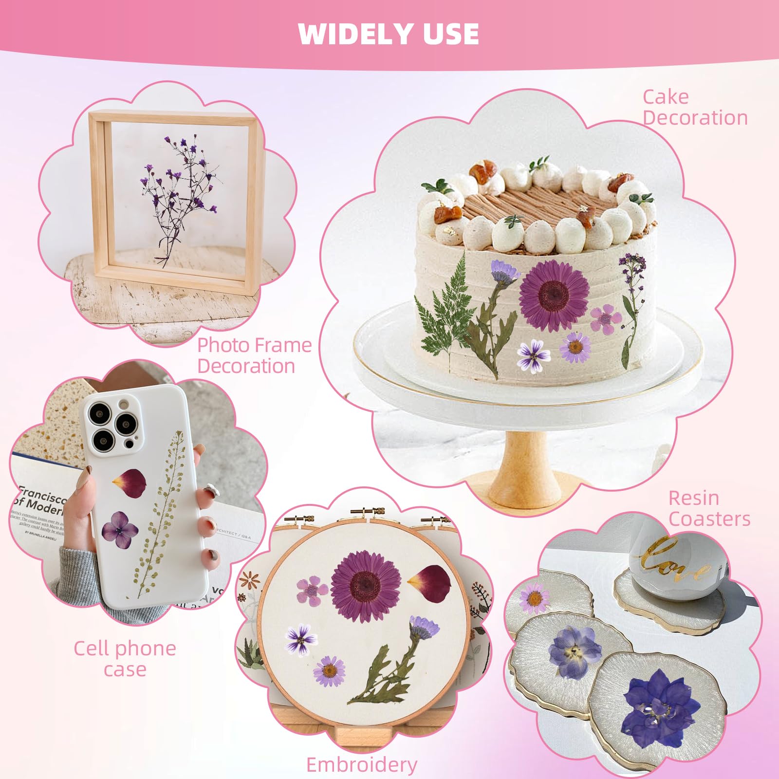 ZMRU Grandes fleurs séchées pressées en vrac de 30,5 cm pour cadre en verre, véritables feuilles de fleurs naturelles séchées pour moule en résine, décoration de gâteau, décorations de vacances, étuis