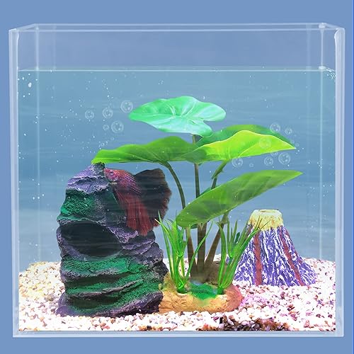 Miniatura 7 de COOSPIDER Betta - Hamaca con diseño de hojas de pez, decoración de acuario, pecera cíclidos, resina, roca, montaña, cueva, decoración, decoración
