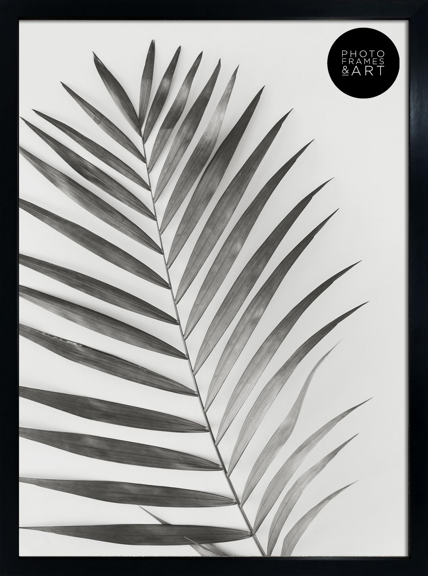 pf+a Perspex Window Black A2 Frame - A2 Poster Frame / A2 (59.4x42cm) Frame Portrait and Landscape Display