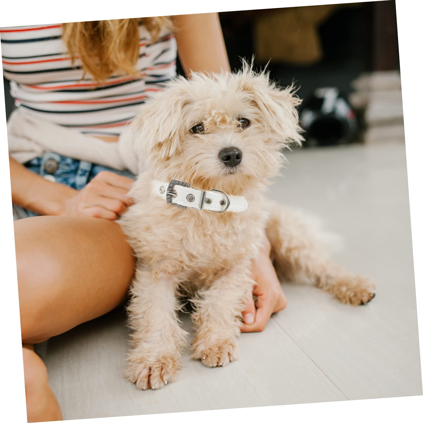 COLLBATH Set 2 Pezzi Collare e Guinzaglio per Cane Perle Regolabile in Pelle Pu per Cuccioli, per Addestramento e Feste di Animali Domestici