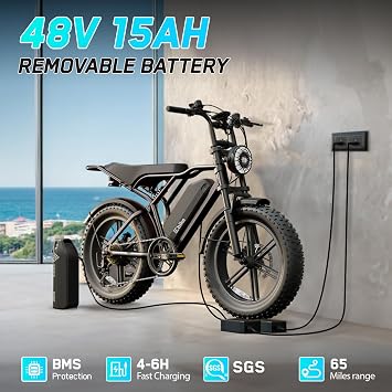 TST Electric Bike for Adults, 48V 15/25 Ah Battery, 2000W Peak Motor, 28MPH