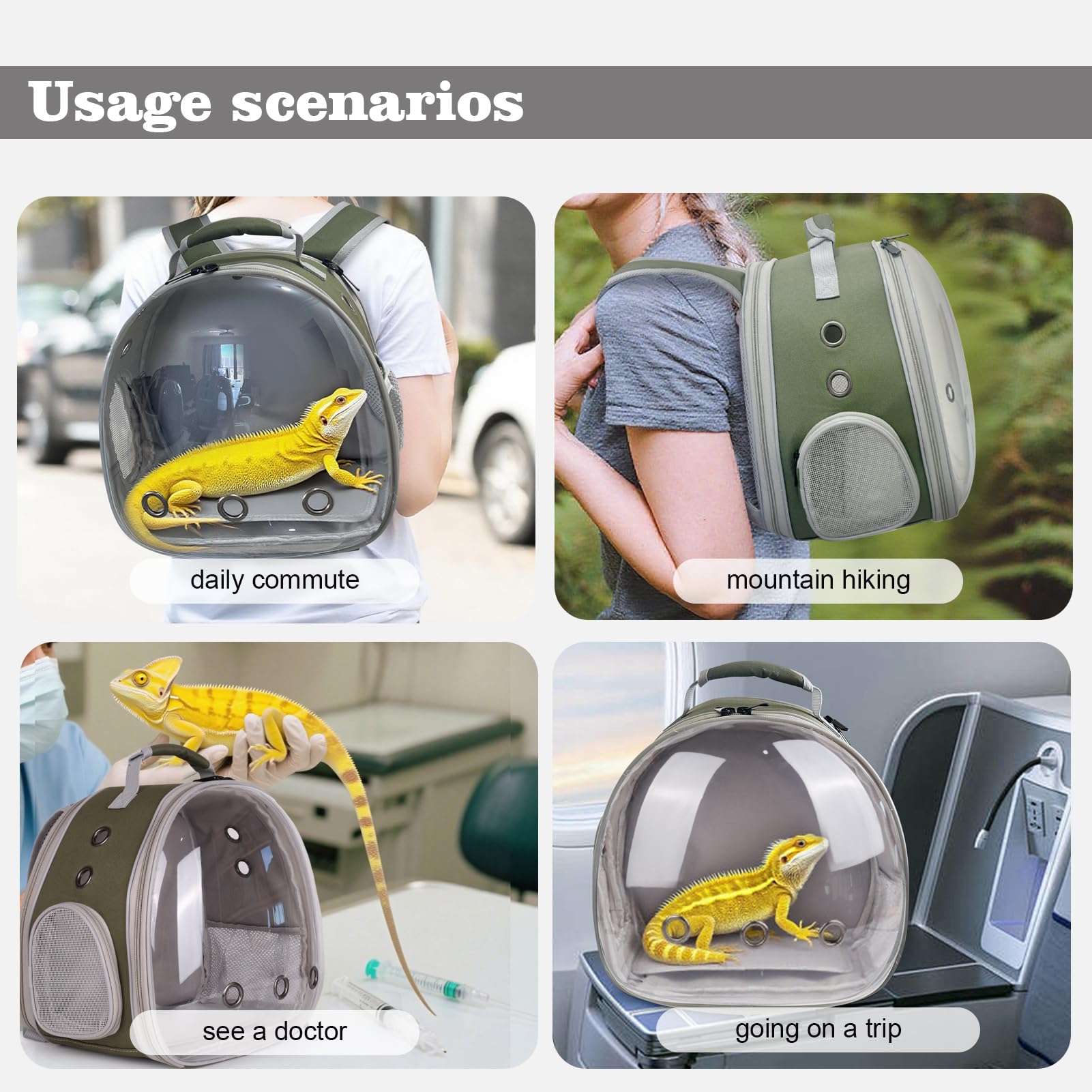 Erweiterbarer Bartagamen-Rucksack mit transparentem Blasenfenster, großer Reisekäfig, Fluggesellschaften zugelassen, Armeegrün, Rückenverlängerung