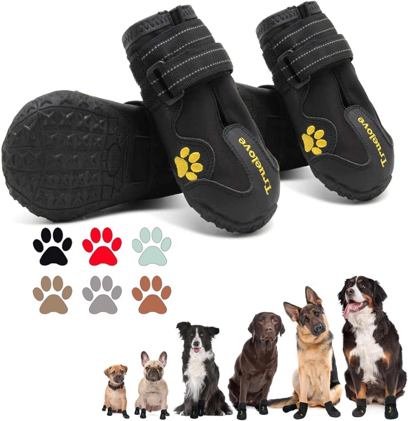Expawlorer Dog Shoes
