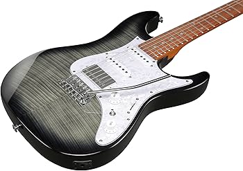 Amazon.com: Ibanez AZ22S1F Standard 6-String Right-Handed Electric