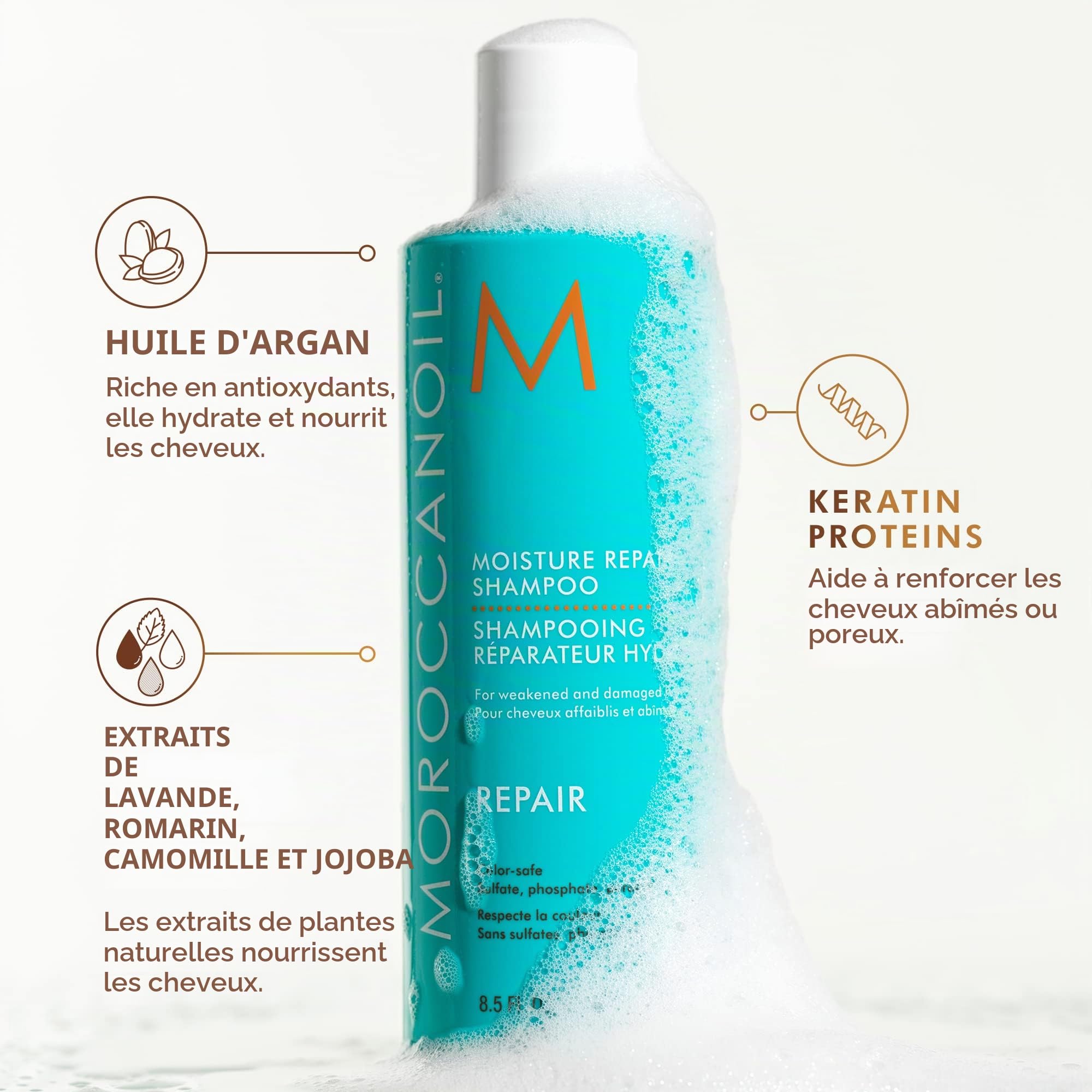 Moroccanoil Masque Hydratant Intensif, 250ml & Shampooing Reparateur Hydratant, 250ml