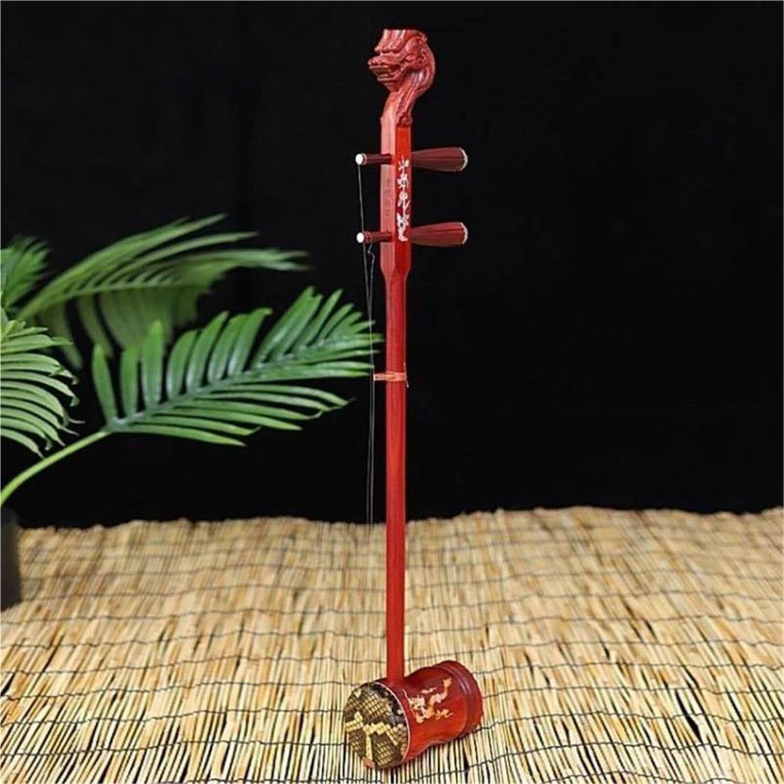 Erhu Drewniana Profesjonalna Gra Gaohu Treble Erhu