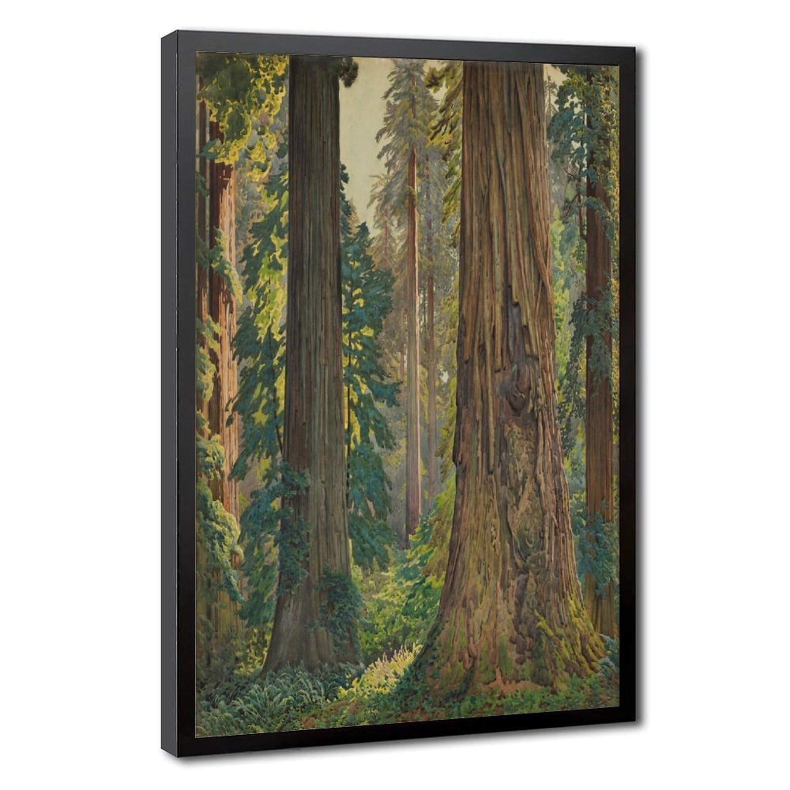 WCYB Redwoods, Humboldt County California by Gunnar Widforss Posters Prints Canvas Deco Paintings Wall Art Hangable Frame 12" L X 18" W