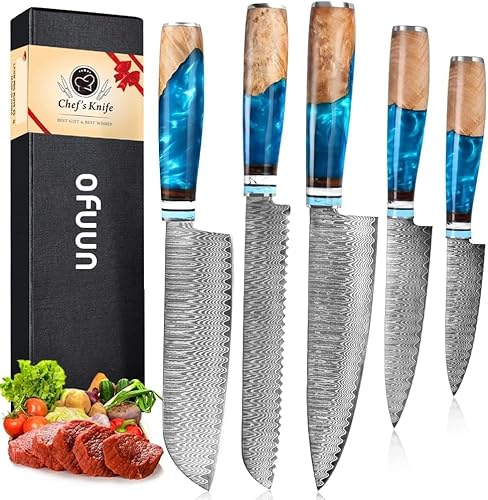 oFuun Set Cuchillo Cocina 5 Piezas, 67 Capas de Acero de Damasco ...