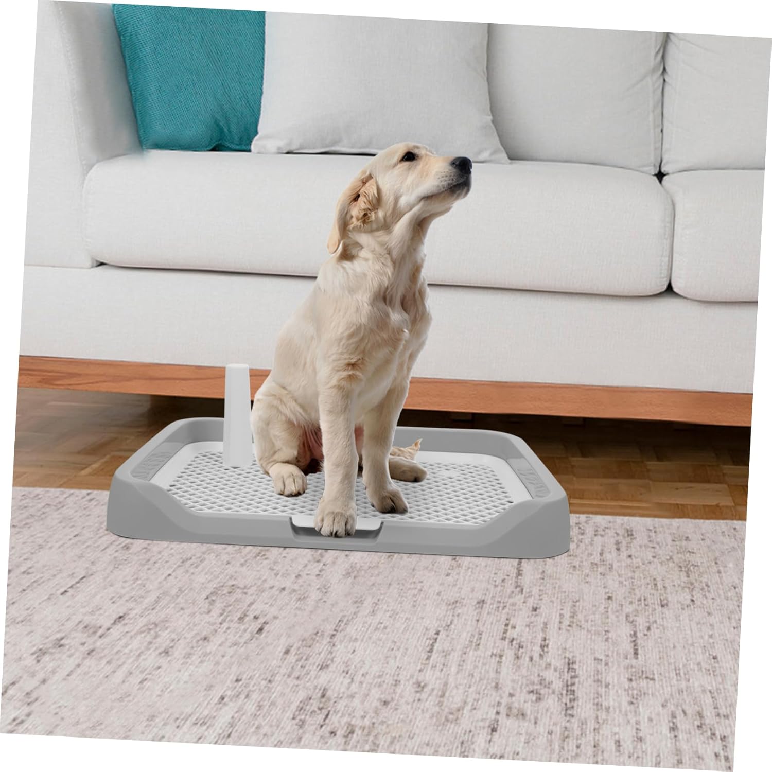 Multifunctional Indoor Dog Potty Tray Reusable Abs Puppy Training Toilet with Detachable Litter Tray Easy to Clean Urine Holder for Small and Large Dogs
