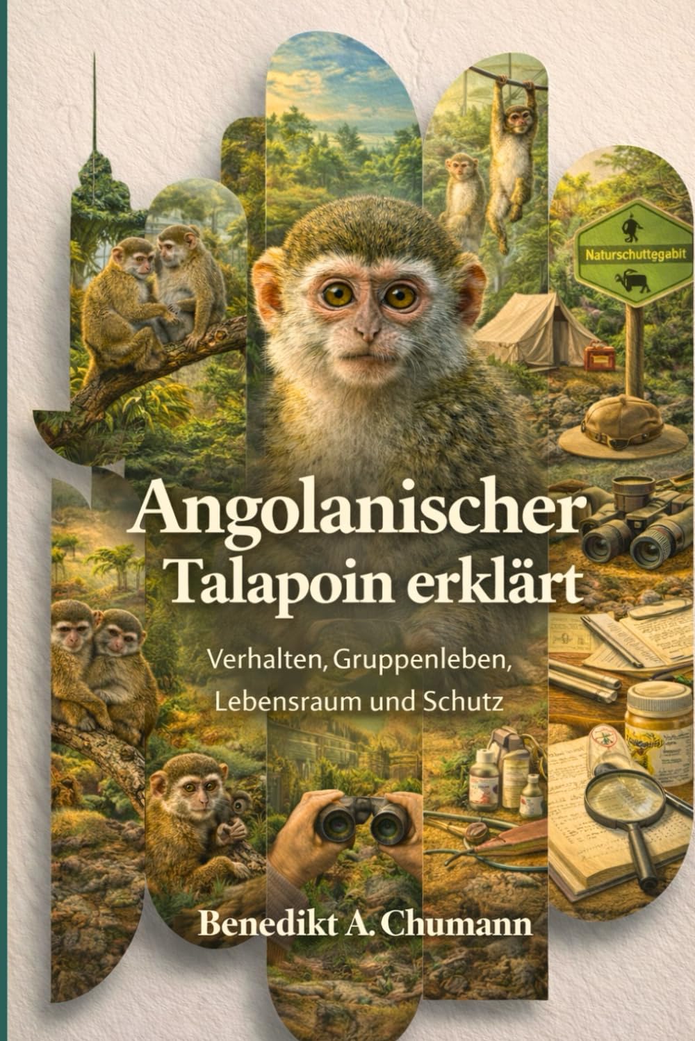 Angolanischer Talapoin erklärt: Verhalten, Gruppenleben, Lebensraum und Schutz