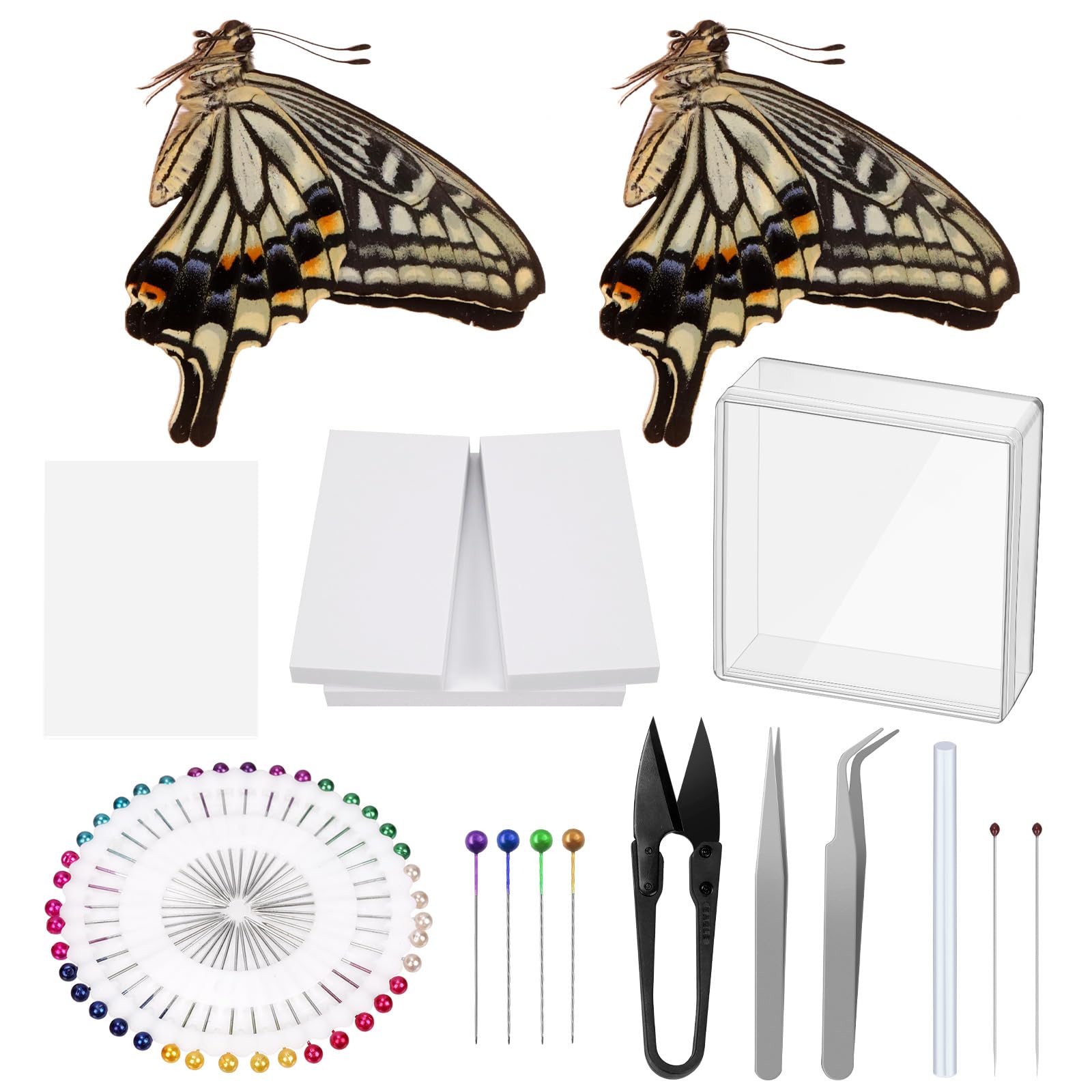 Hilitchi 54PCS Making Insect Specimen Tools Kit Butterfly Specimen Tools Include Butterfly Insect Pinning Board Insect Pins Insect Display Case Wings Pressing Paper Tweezers Scissors for Bug Hobbyist