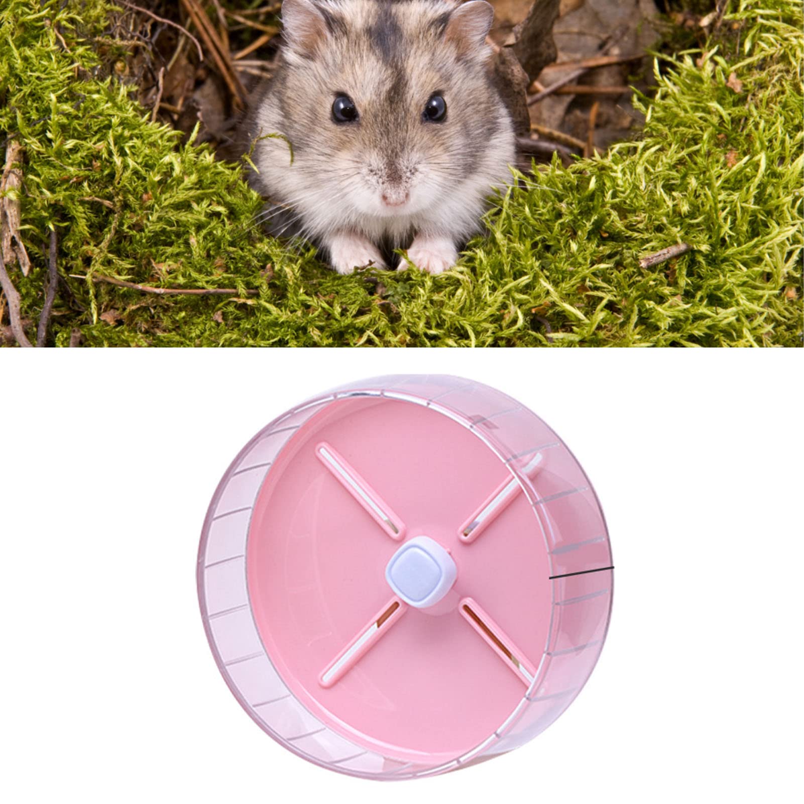 Hamster Exercise Running Wheel, Silent Design, Anti Slip, Premium Acrylic Material, for Small Pets (20cm) - Image 4