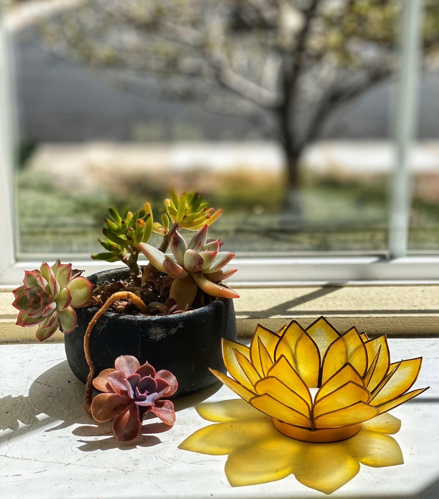 Amazon.com: Om Gallery Capiz Shell Lotus Flower Decor