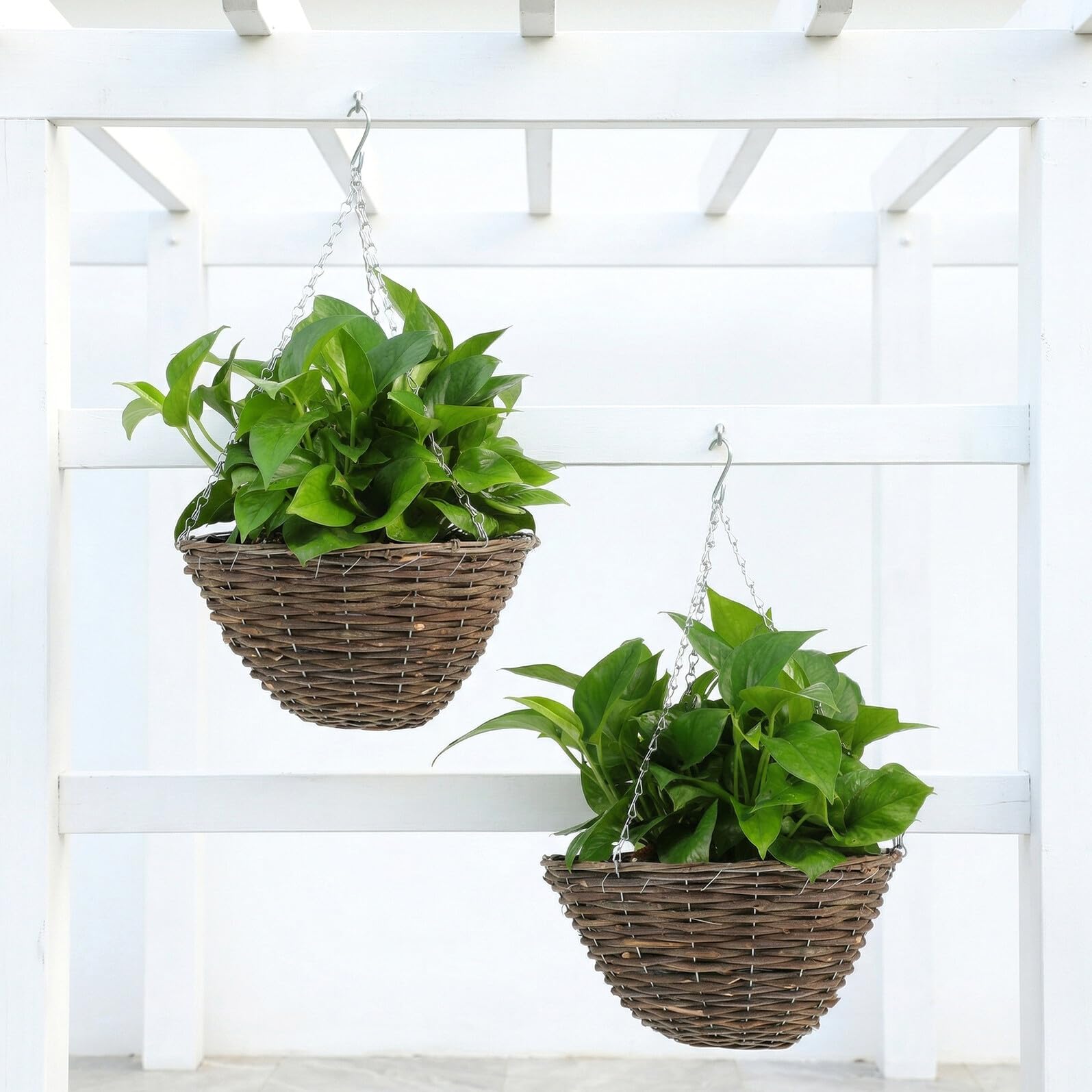 Set 2 Pezzi Vasi Sospesi per Piante in Rattan Fatti a Mano, Portavasi da Balcone Eleganti e Resistenti in Metallo per Fiori e Piante Grasse, per Finestre e Balconi