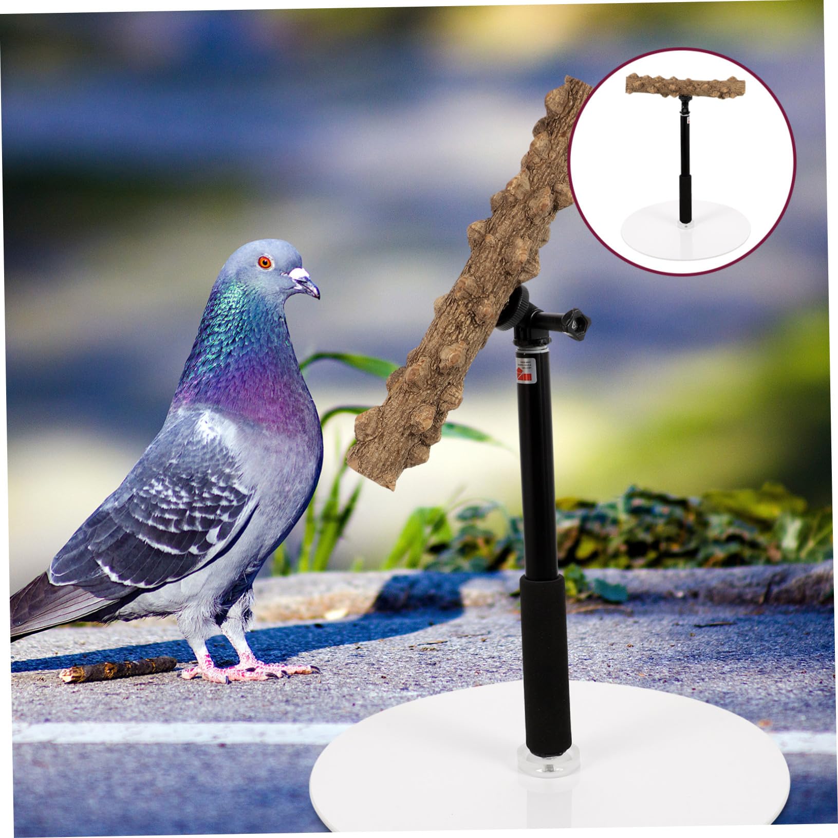 Supvox Höhenverstellbare Vogelstange und Metall mit Stabilem Fuß als Trainingsspielzeug für Papageien Beim Beobachten und Spielen