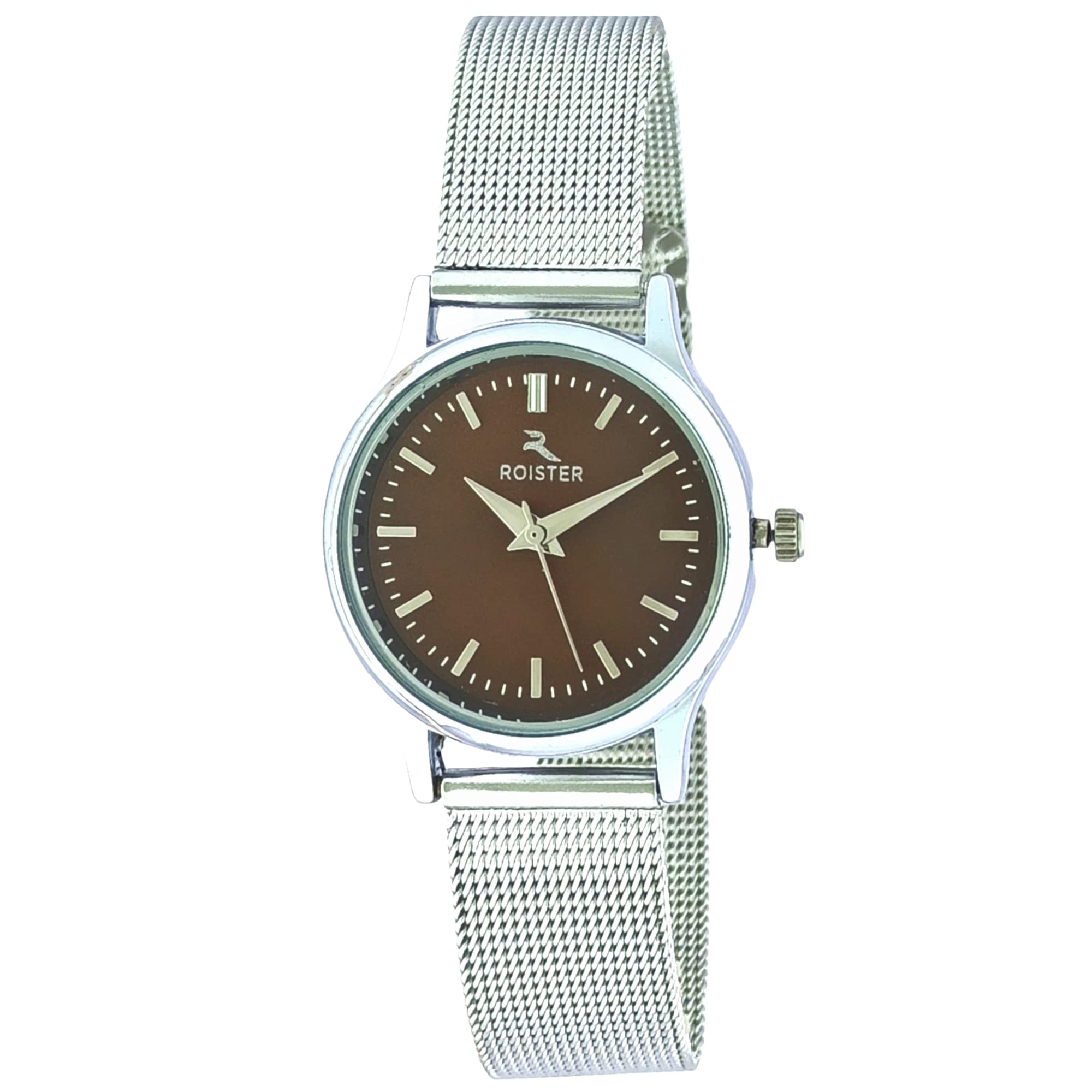 ROISTER Analog Brown Dial Silver Strap Watch for Women Girls - RT-3003 (B0BYXSK9LW) Amazon Price History, Amazon Price Tracker