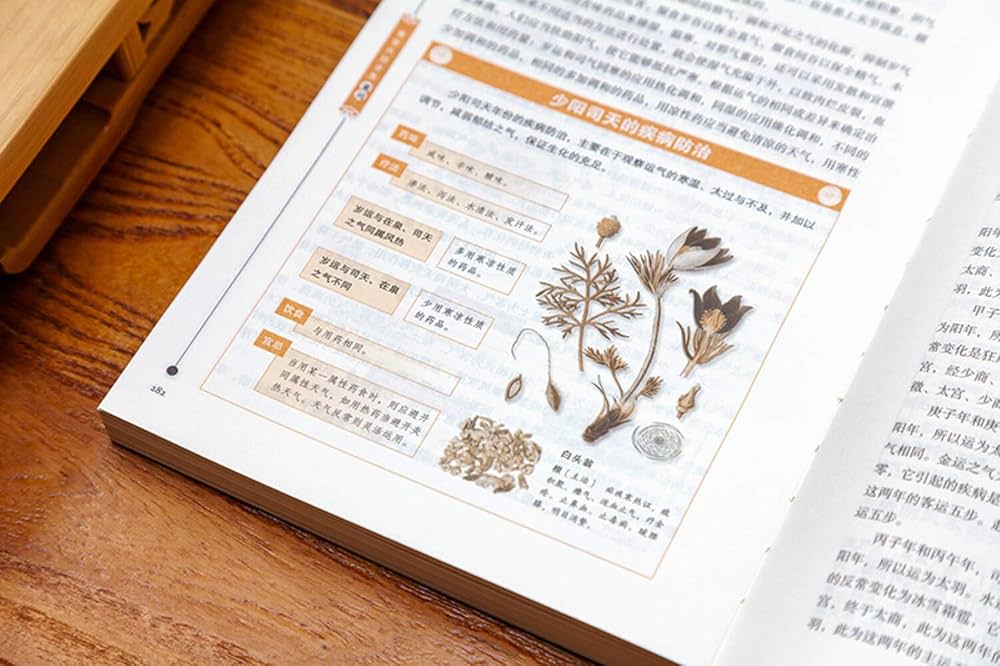 Amazon.com: 黄帝内经全集(全译图解版)(精) (Chinese Edition