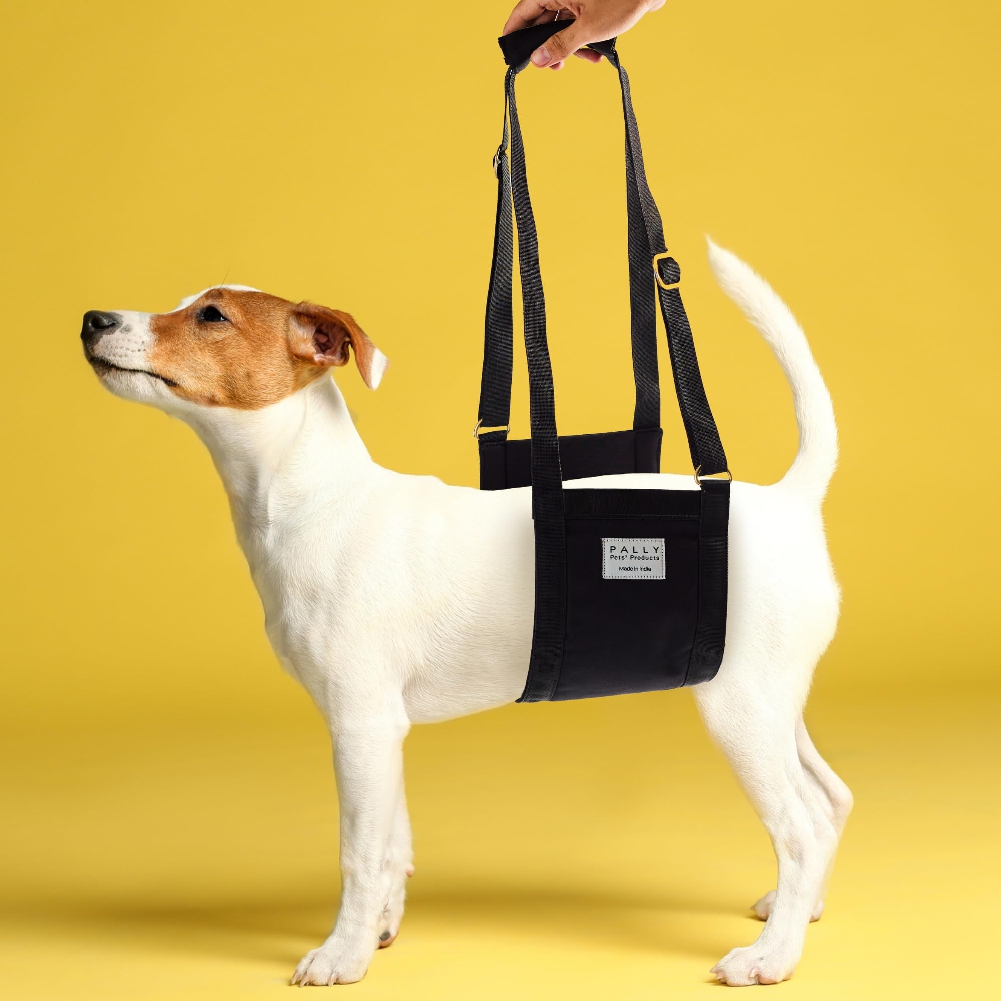 Pally Pets Products Cushioned Dog Sling For Back Legs, Hip Support Harness To Help Lift Rear For Canine Aid Old K9 Cruciate Ligament Rehabilitation-Medium, Black (B0CYLBYDNC) Amazon Price History, Amazon Price Tracker