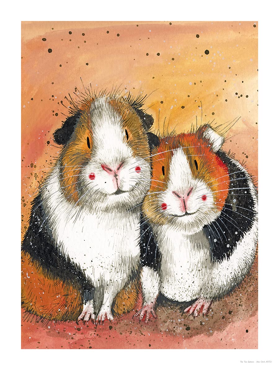 Alex Clark Art Ltd Alex Clark Guinea Pigs Art Print