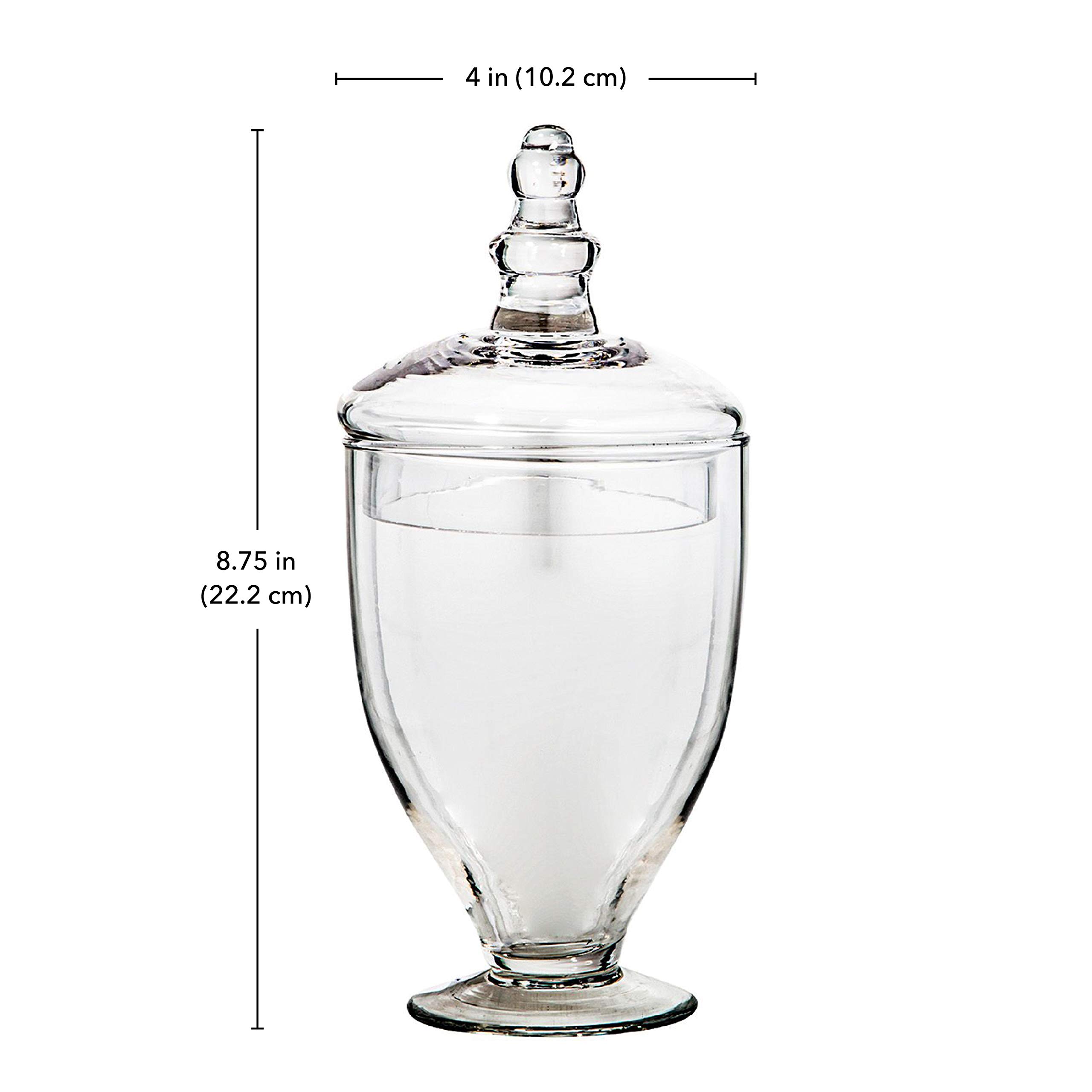 Buy Apothecary Jars with Lids Set of 3 Home Essentials & Beyond Candy