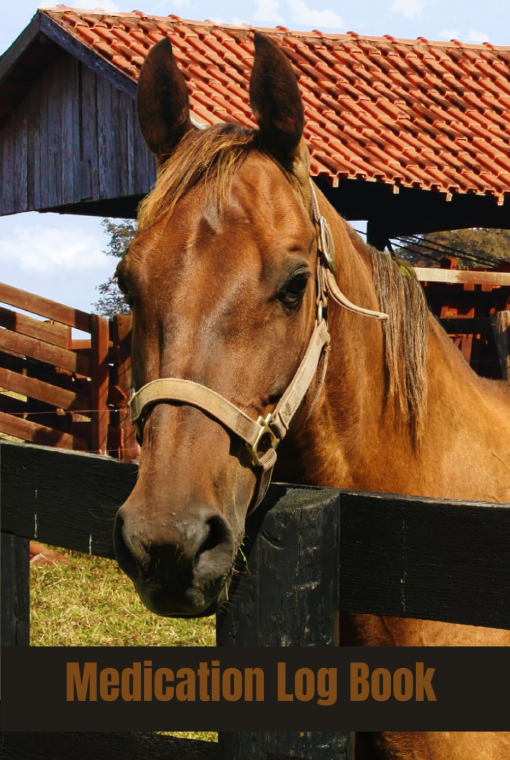 Medication Log Book: Horses In Color Every Page, Horse Charming Book Cover, Large Print, And 52 Weeks Of Logs With Notes Pages Make This Book A Great ... You Record Your Medicines (Color Edition)