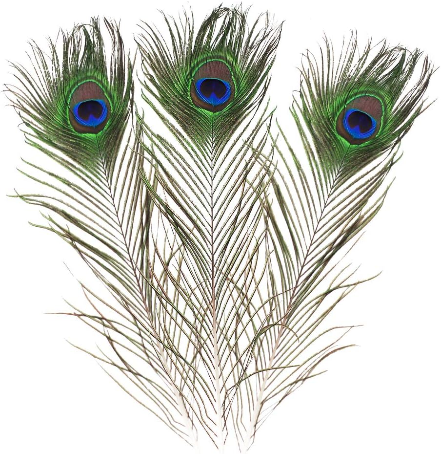 Featured Real Natural Peacock Feathers 16-18 inches (40-45cm) Great Wedding Christmas Halloween Decorations House Decoration (Natural 10pcs)