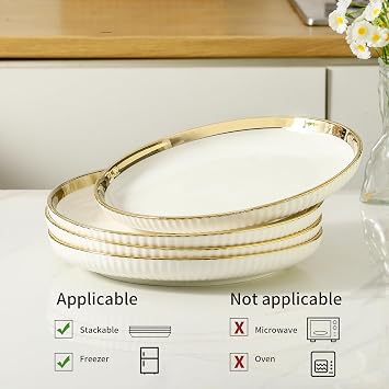 LETAOTAO Dinner Plates, 10 in Ceramic dinner Plate Set of 4 with gold trim