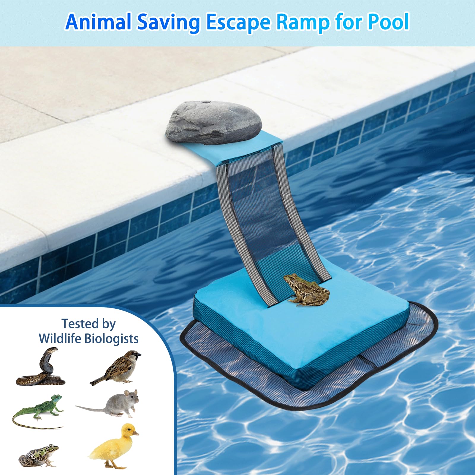 Pool-Tierrettungsrampe, Pool-Froschretter, Tierretter für Schwimmbadtiere, Rettung für Kröten, Frösche, Eidechsen, Enten, Schlangen, Mäuse, 2er-Pack