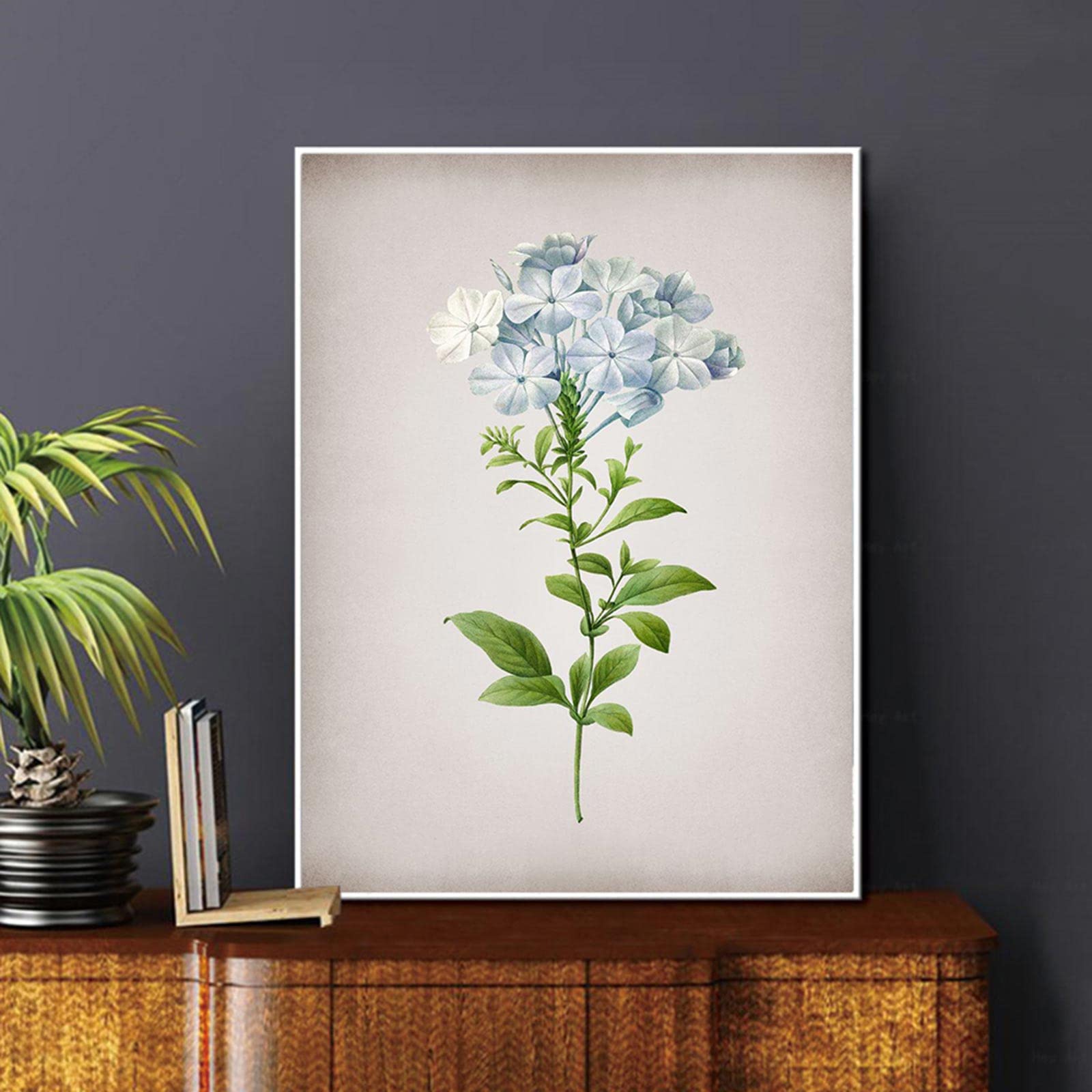 Amazon.com: Vintage Flower Plumbago Caerulea Painting Poster