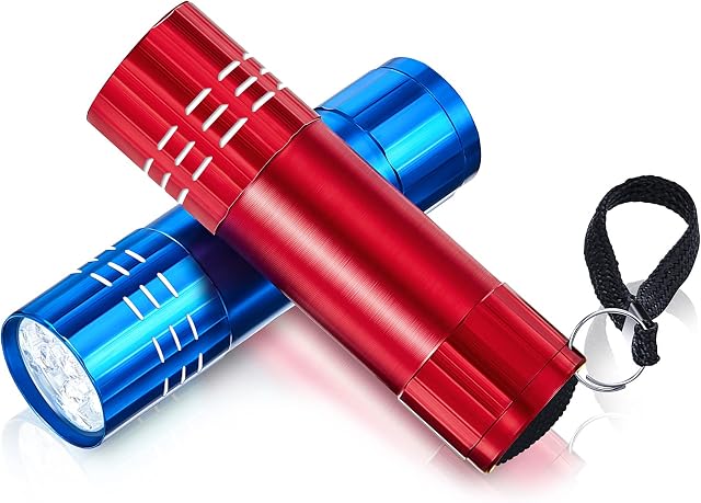 2 Pcs Mini Pocket Torch Small Handheld Torches Kids Led Flashlight 3 Inch Waterproof Pencil Torch with Lanyards for Camping Hiking Outdoor, Batteries with Insulation Card Included (Blue, Red)