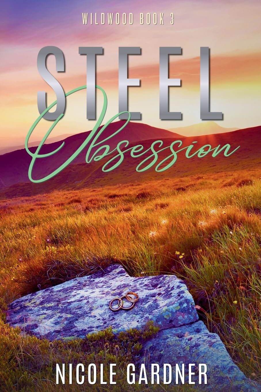 Steel Obsession: 3 (Wildwood)