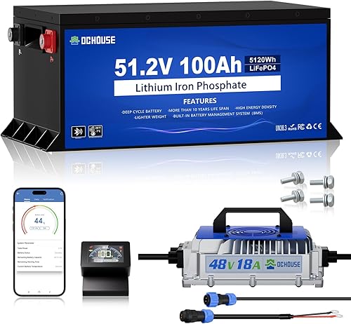 DC HOUSE Batería de litio para carrito de golf de 48 V 100 Ah Pro, batería BMS Lifepo4 de 200 A con cargador de 48 V 18 A, aplicación móvil