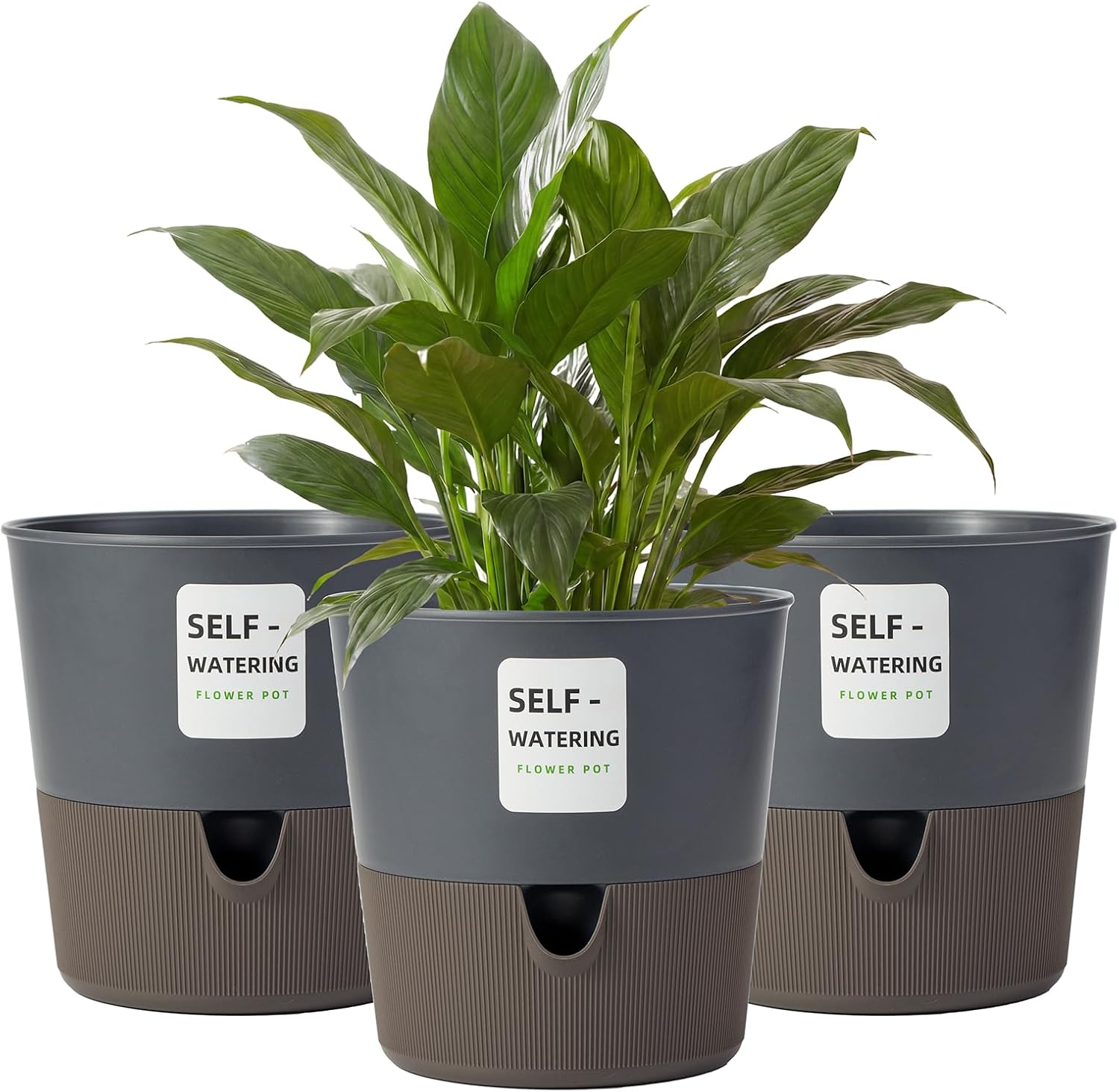 Bamworld 3 Pack Self Watering Pots for Indoor 6.5in Plants Plant Pots ...