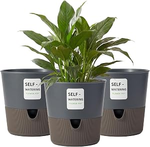 Bamworld 3 Pack Self Watering Pots for Indoor 6.5in Plants Plant Pots Indoor with Drainage Holes Modern Planters for Indoor Plants Room Office Décor(Black)