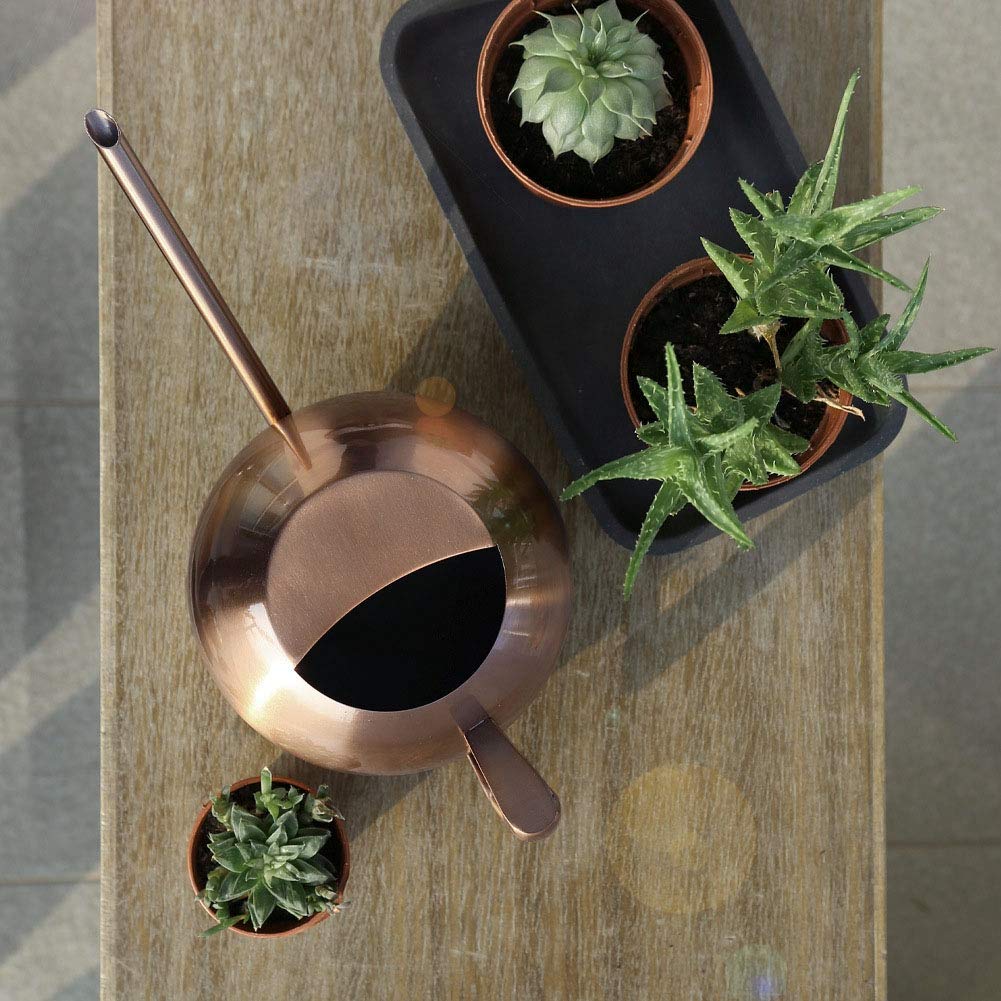 Arrosoir 1L en Métal, Acier Inoxydable Or Rosé à Long Bec, pour Plantes d'Intérieur, Design Moderne pour Balcon, Terrasse et Intérieur, Facile à Nettoyer