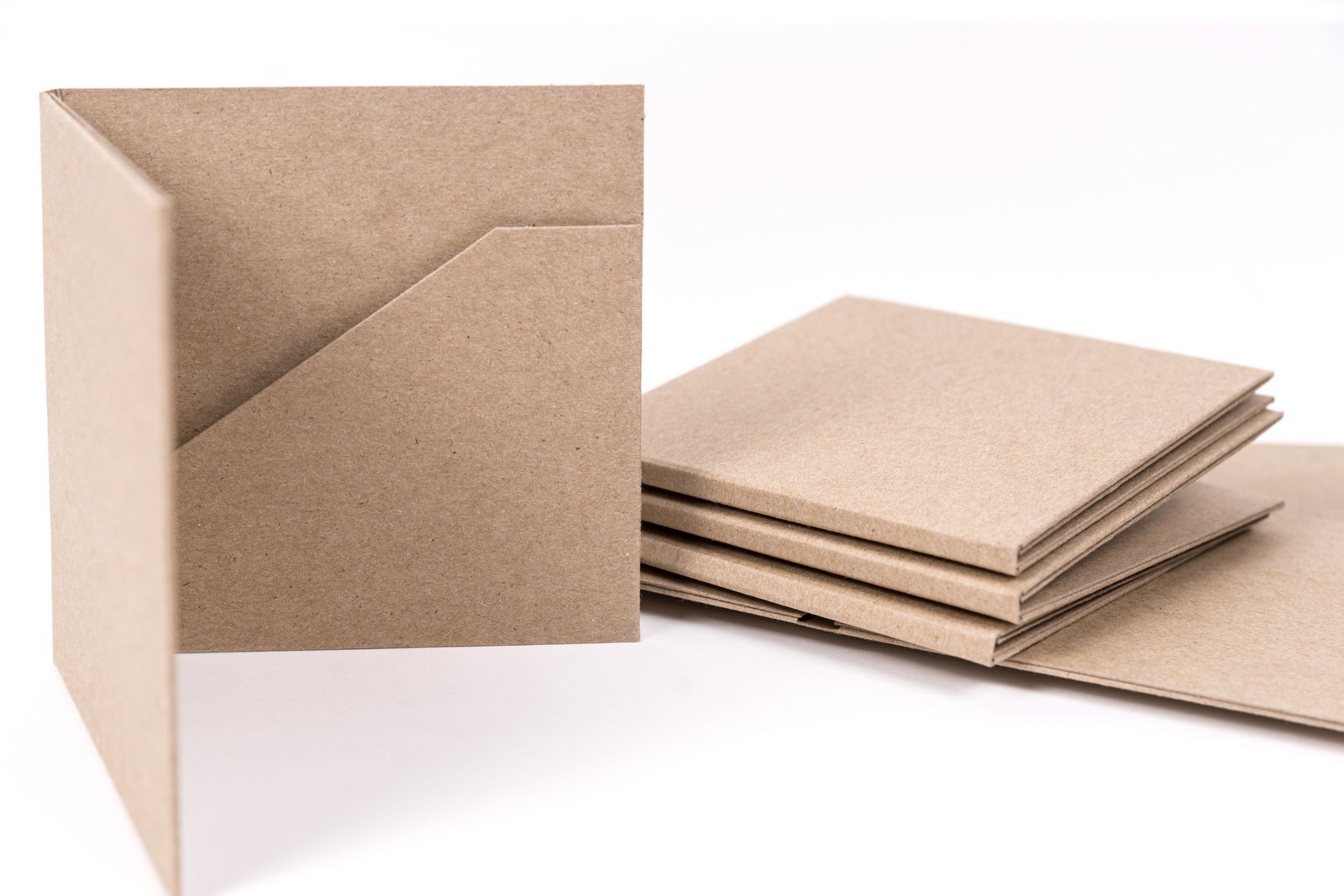 Kraft CD Case Two Pocket with Booklet holder - Pack of 25